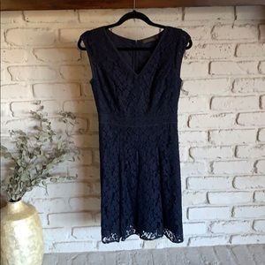The Limited Navy Lace Dress